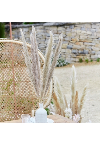 Ginger Ray PAM-531 Pampas Grass Natural ()