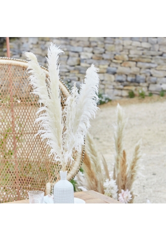 Ginger Ray PAM-543 Pampas Grass Wit ()