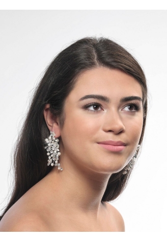 Poirier NC-1323 Oorbellen Zilver ()