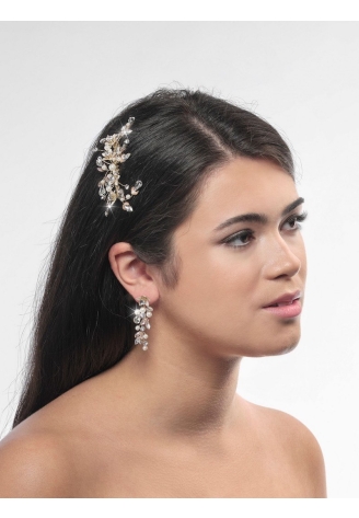 Poirier NC-1324 Oorbellen Goud ()