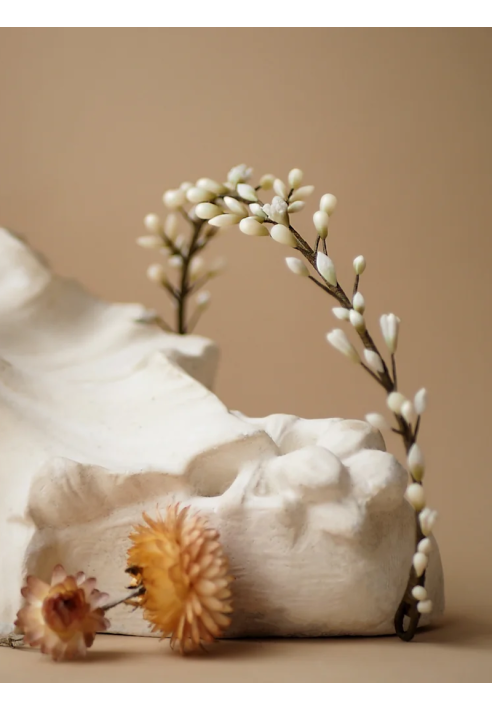 Lizeron Leo Tiara Wit