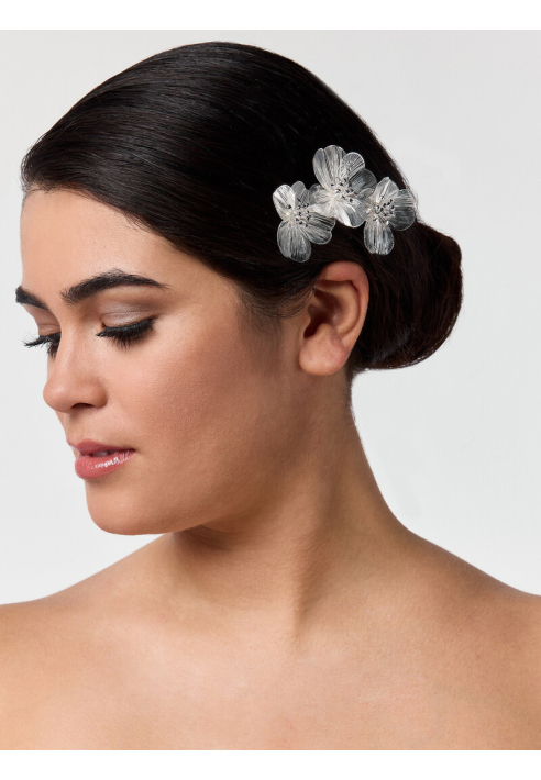 Poirier BB-75025 Haarkam Zilver ()