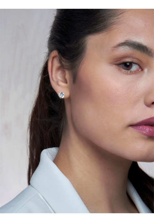 Poirier JE-104 Oorbellen ()