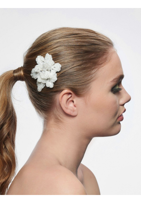 Poirier BB-249 Haarkam ()