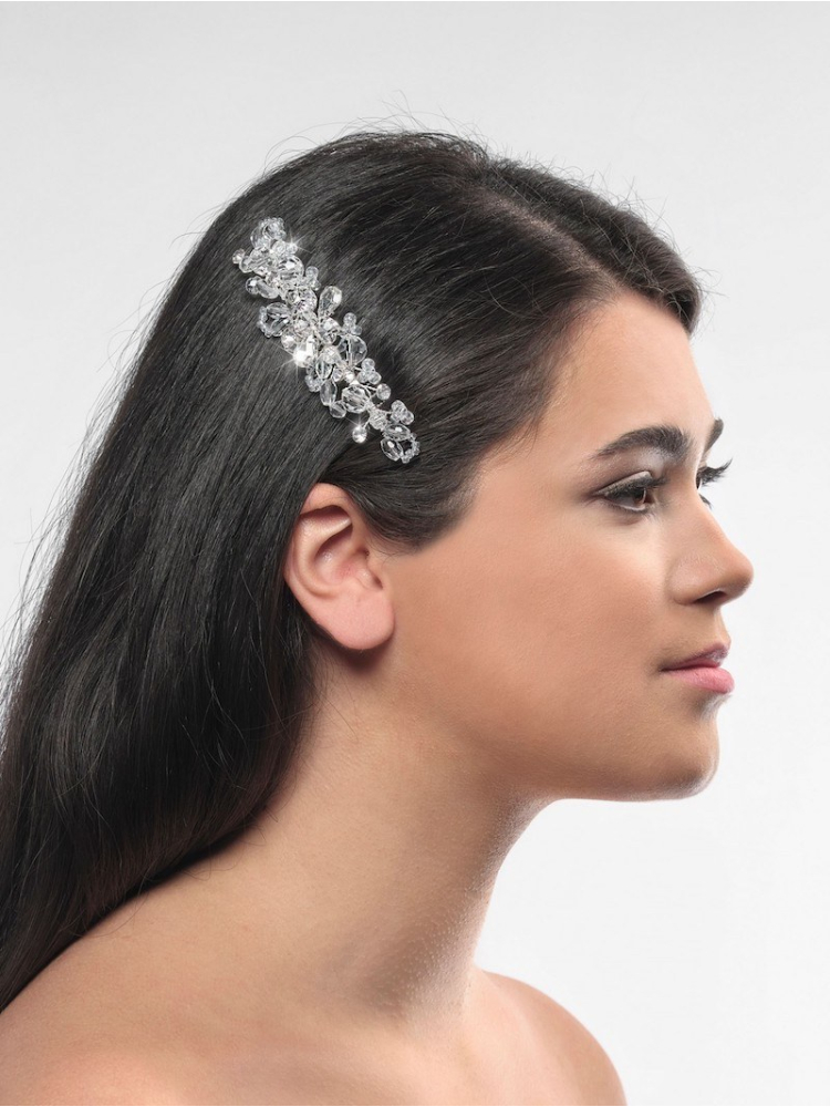 Poirier BB-1581 Haarkam main product photo