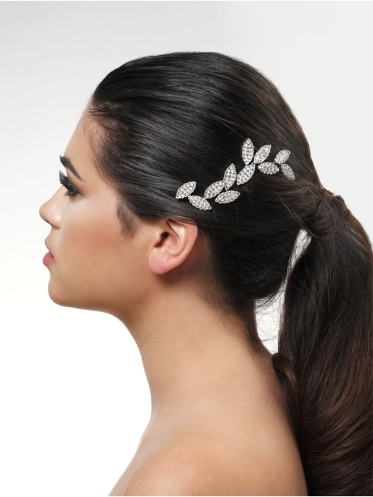 Poirier BB-466 Haarkam Zilver  main product photo