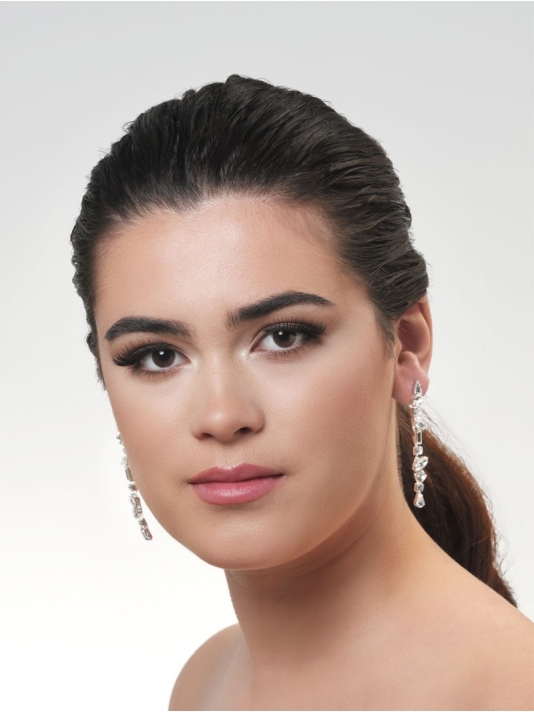 Poirier NC-1333 Oorbellen Zilver  main product photo